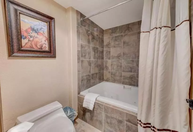 آپارتمان 1 خوابه, Silver King By All Seasons Resort Lodging