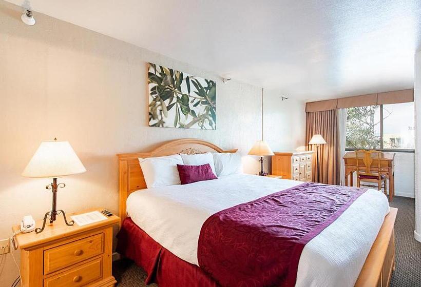 １ベッドルームアパートメント, Silver King By All Seasons Resort Lodging