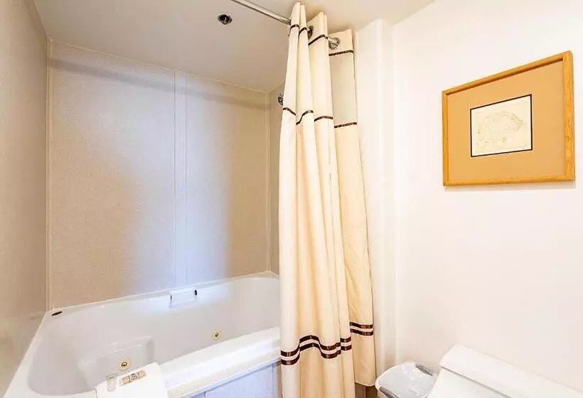 آپارتمان 1 خوابه, Silver King By All Seasons Resort Lodging