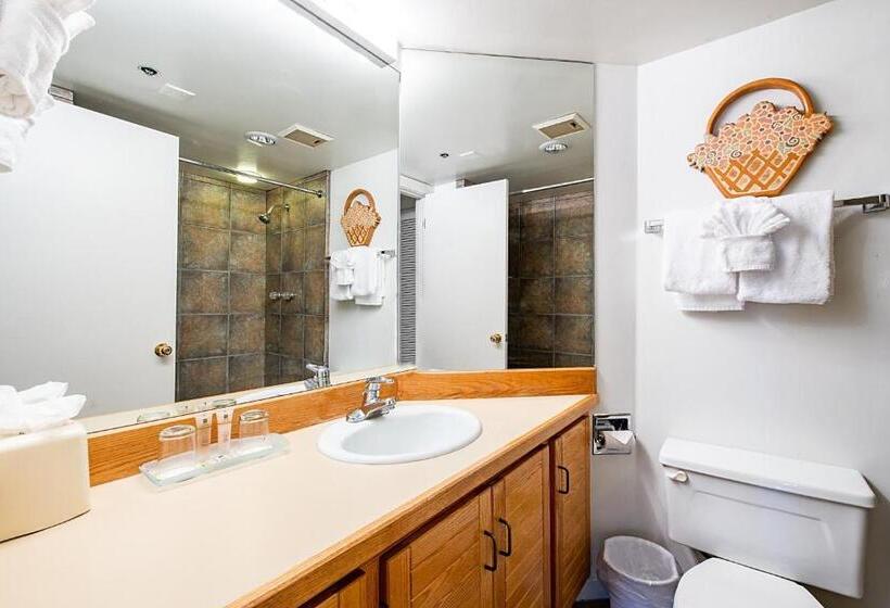 １ベッドルームアパートメント, Silver King By All Seasons Resort Lodging