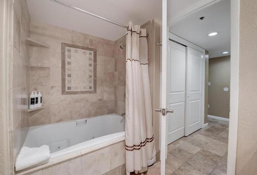 デラックススタジオ, Silver King By All Seasons Resort Lodging