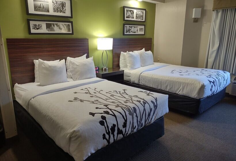 Номер Стандарт 2 Двуспальные Кровати, Sleep Inn