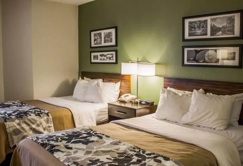 2ダブルベッドのスタンダードルーム, Sleep Inn Johnstown