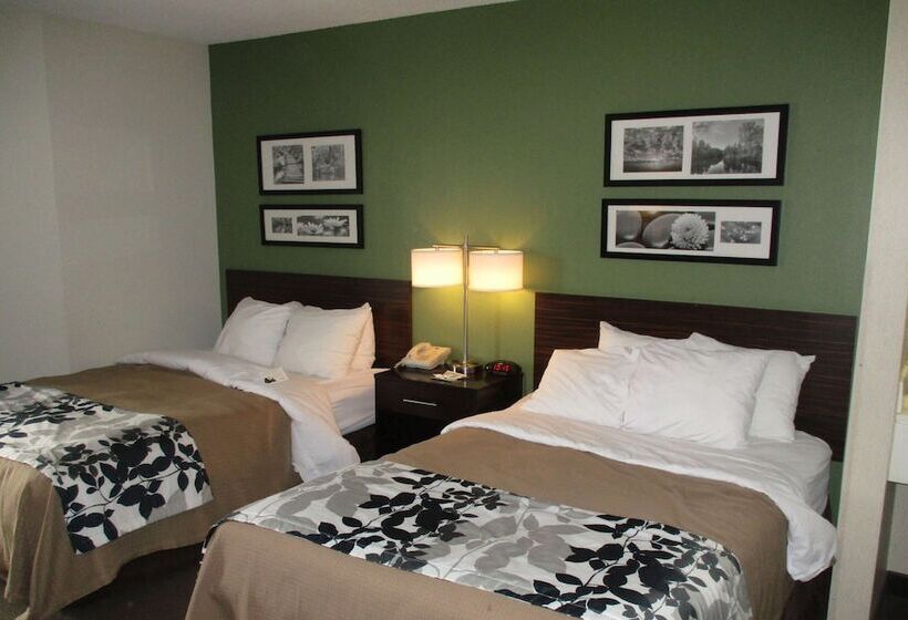 带2个双人床的标准工作室, Sleep Inn Johnstown