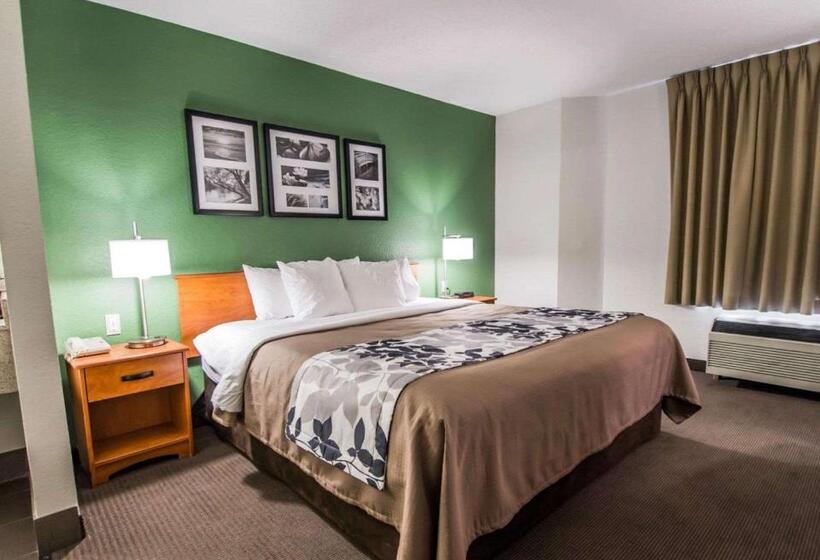 חדר סטנדרט עם מיטת קינג, Sleep Inn