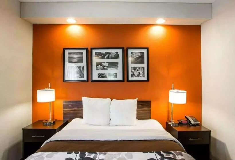 Standard-invahuone, Sleep Inn Nashville   Brentwood   Cool Springs
