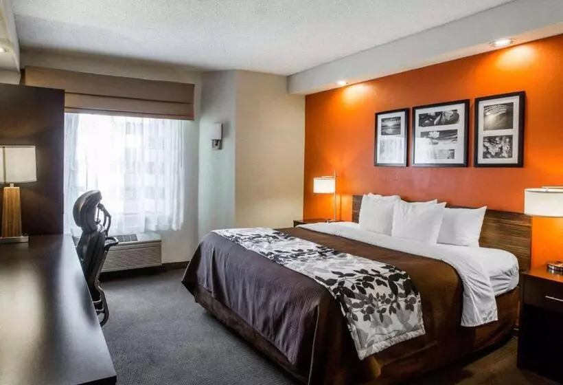 Standard-invahuone, Sleep Inn Nashville   Brentwood   Cool Springs
