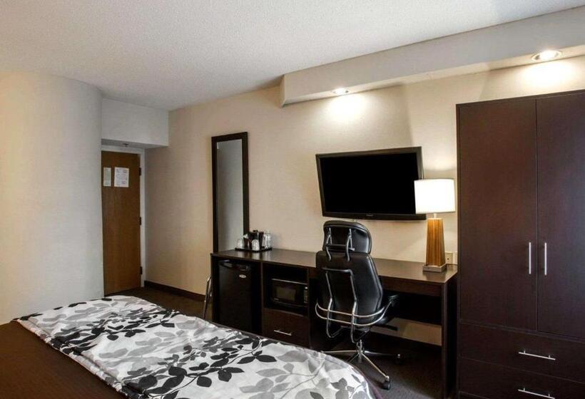스탠다드 룸 킹사이즈 침대, Sleep Inn Nashville   Brentwood   Cool Springs