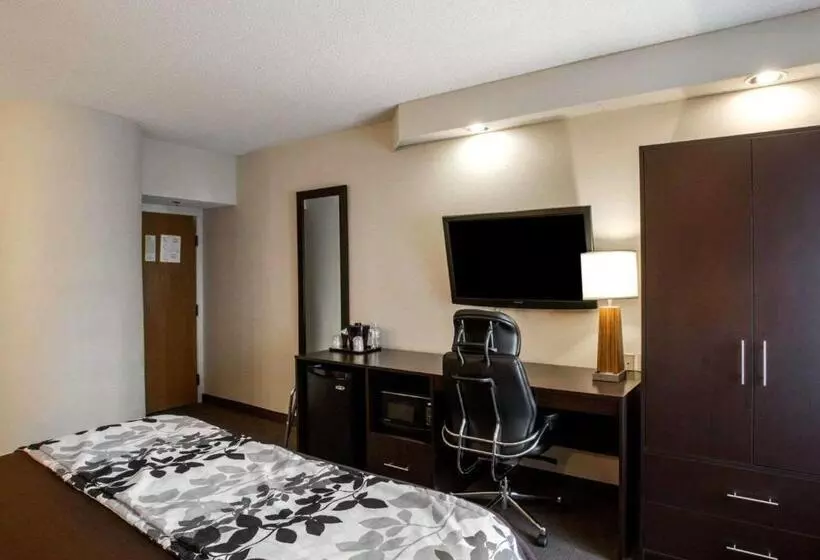 Standard-huone King-vuode, Sleep Inn Nashville   Brentwood   Cool Springs
