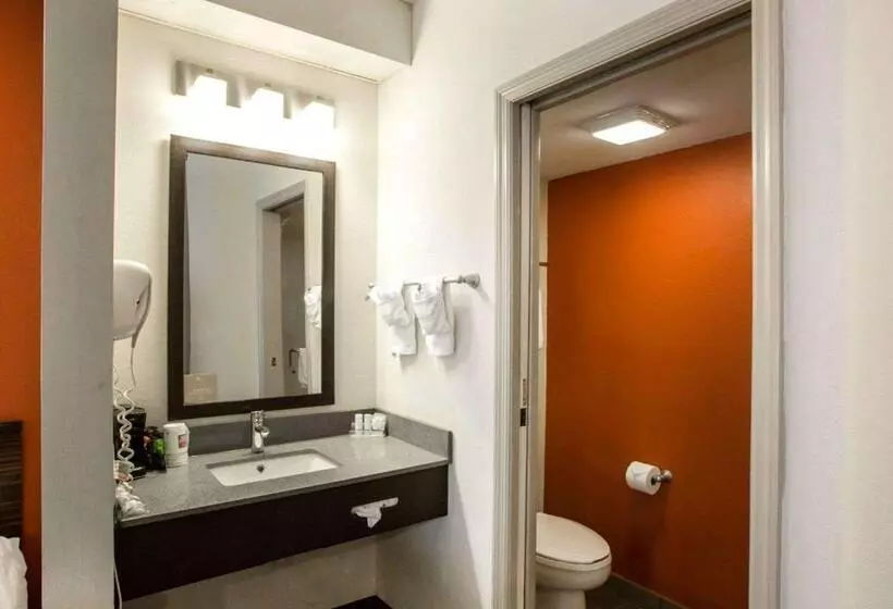 Standard-huone King-vuode, Sleep Inn Nashville   Brentwood   Cool Springs