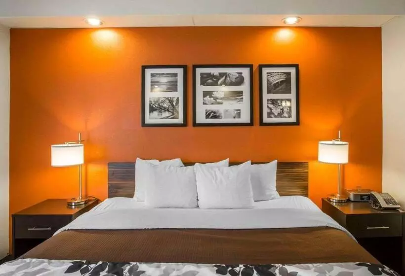 Standard-huone King-vuode, Sleep Inn Nashville   Brentwood   Cool Springs