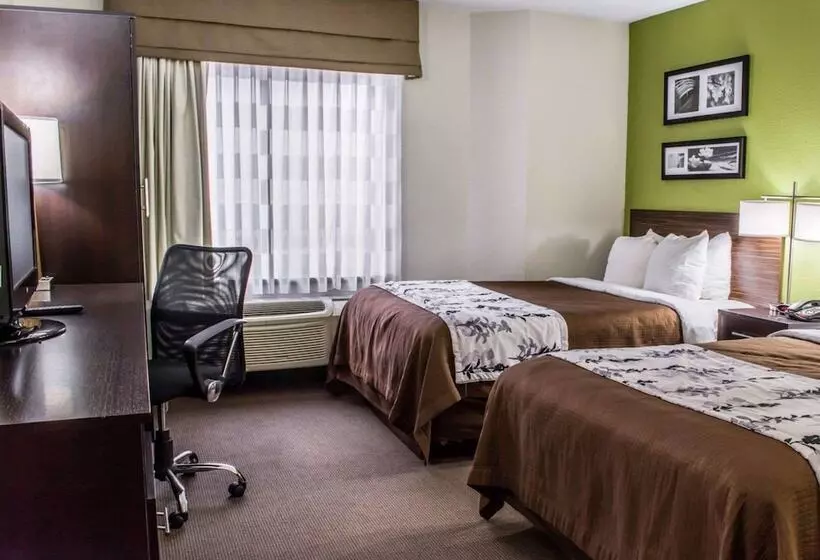 اتاق استاندارد با 2 تخت دوبل, Sleep Inn Richmond South
