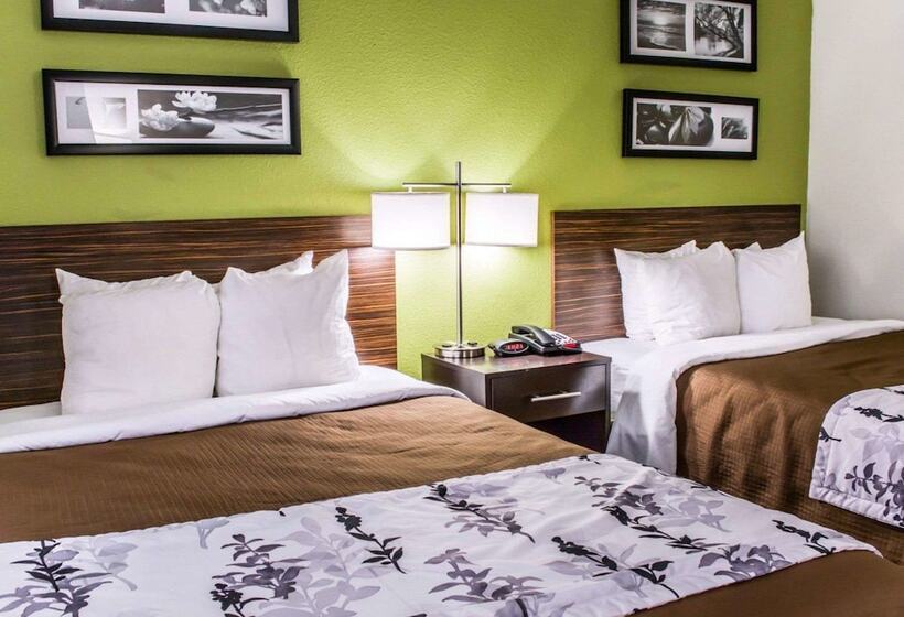 带2个双人床的标准工作室, Sleep Inn Richmond South