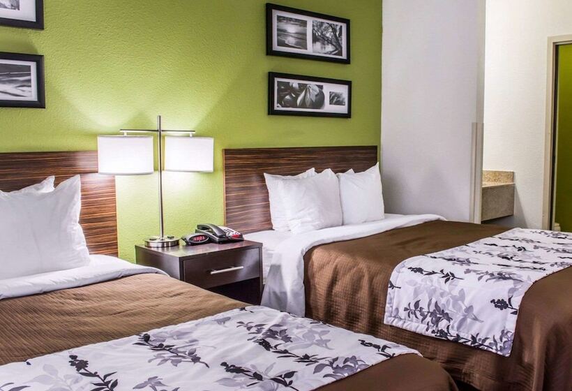 带2个双人床的标准工作室, Sleep Inn Richmond South