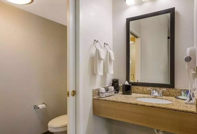 اتاق استاندارد با 2 تخت دوبل, Clarion Pointe Sevierville Pigeon Forge