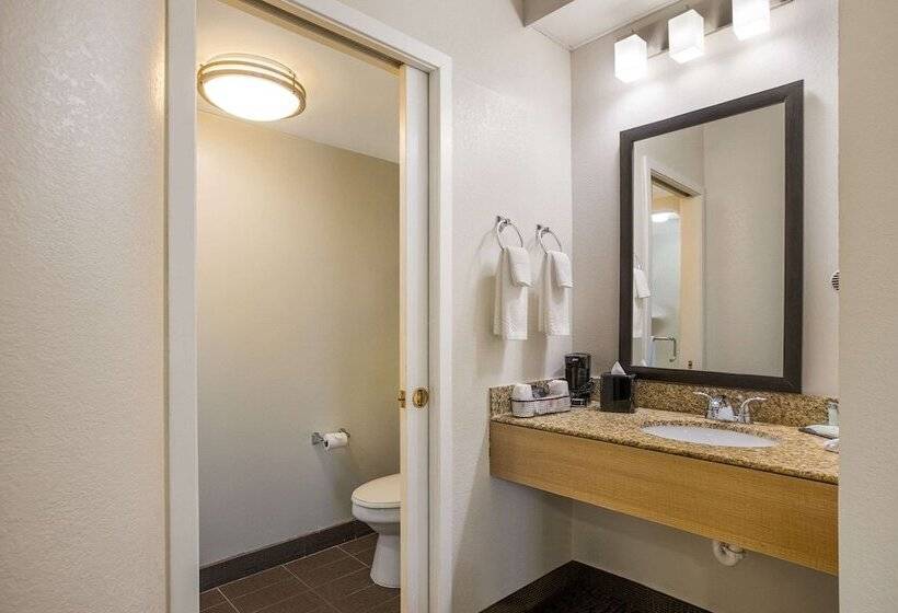 带2个双人床的标准工作室, Clarion Pointe Sevierville Pigeon Forge