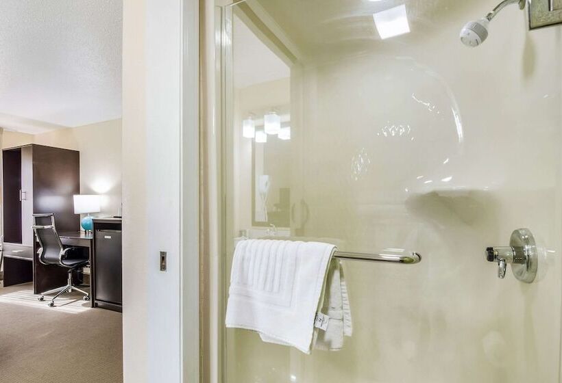 غرفه قياسيه سريرين مزدوجين, Sleep Inn Wytheville I77 And I81