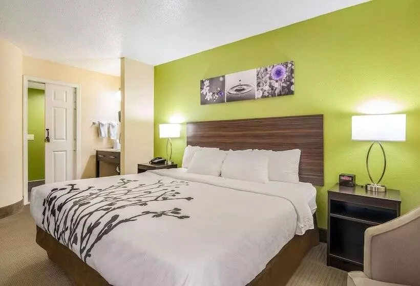 キングサイズベッドのスタンダードルーム, Sleep Inn Wytheville I77 And I81