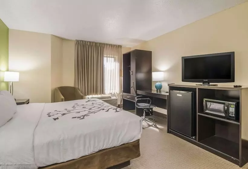 キングサイズベッドのスタンダードルーム, Sleep Inn Wytheville I77 And I81