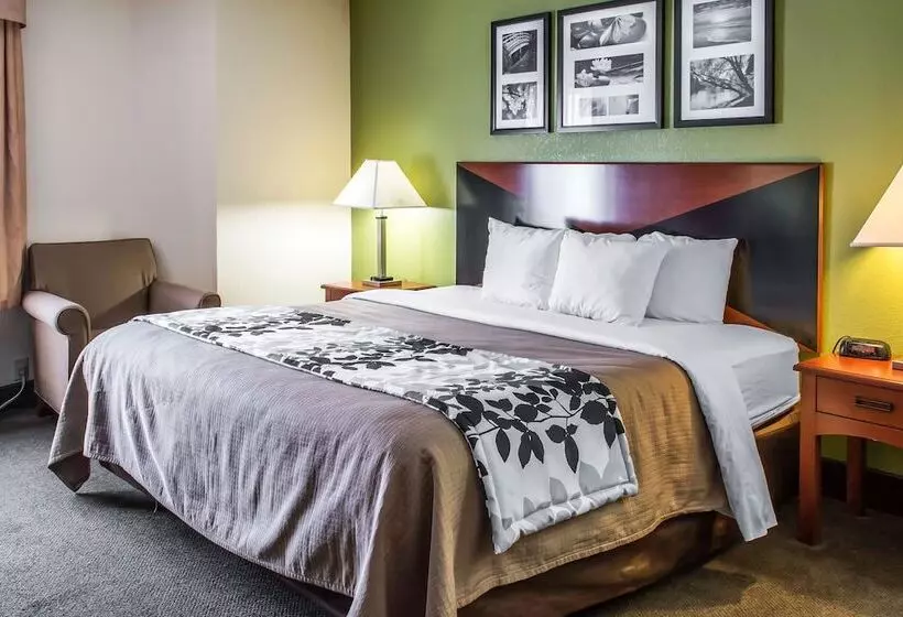 キングサイズベッドのスタンダードルーム, Sleep Inn Wytheville I77 And I81
