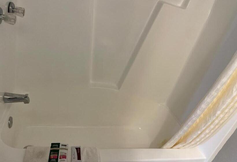 디럭스 룸 바다 전망, Southwind Inn