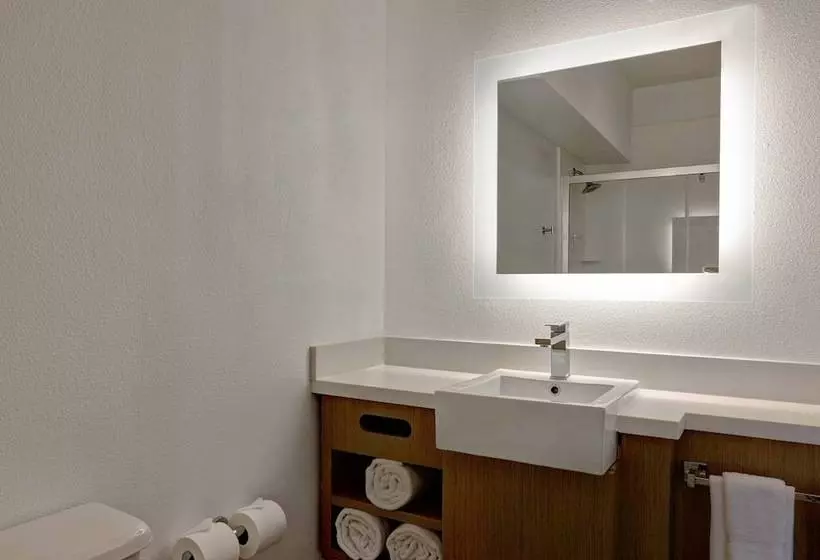 سوییت, Springhill Suites By Marriott Las Cruces