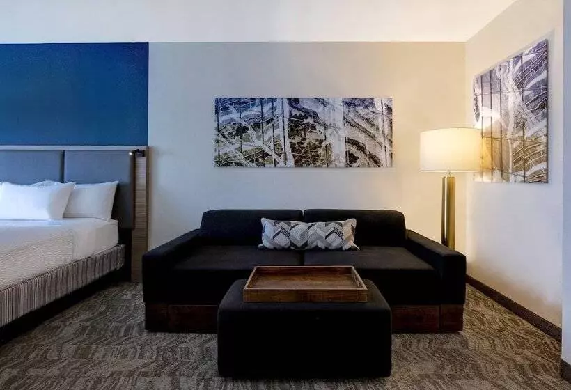 سوییت, Springhill Suites By Marriott Las Cruces