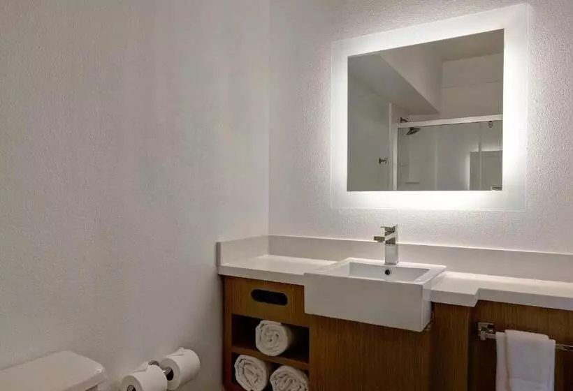 سوئیت با تخت بزرگ, Springhill Suites By Marriott Las Cruces
