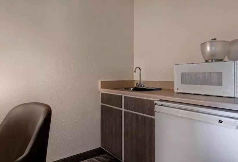 سوئیت با تخت بزرگ, Springhill Suites By Marriott Las Cruces