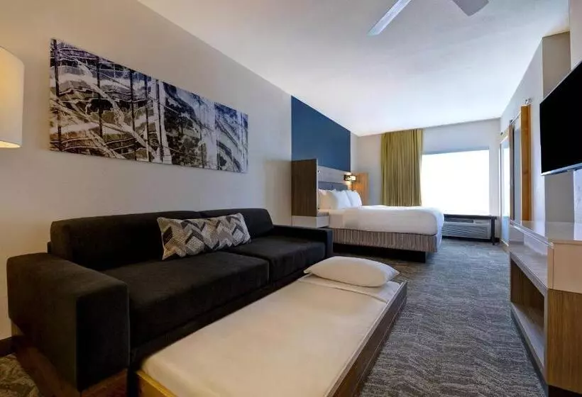 سوئیت با تخت بزرگ, Springhill Suites By Marriott Las Cruces