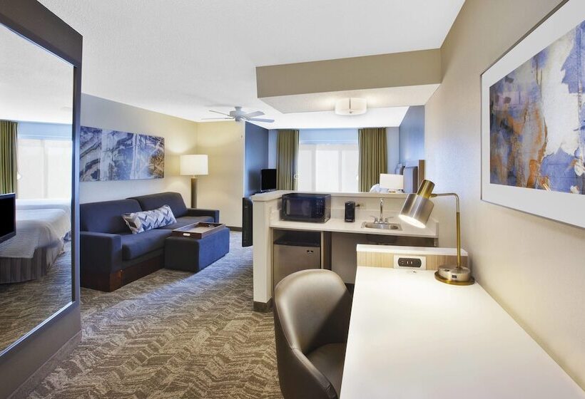 Люкс, Springhill Suites Minneapolisst. Paul Airport/eagan