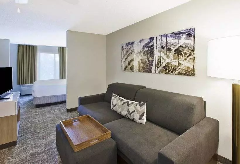 スイート, Springhill Suites Minneapolisst. Paul Airport/eagan