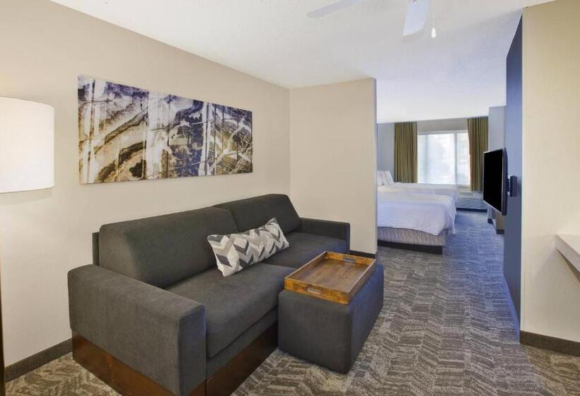 Люкс, Springhill Suites Minneapolisst. Paul Airport/eagan