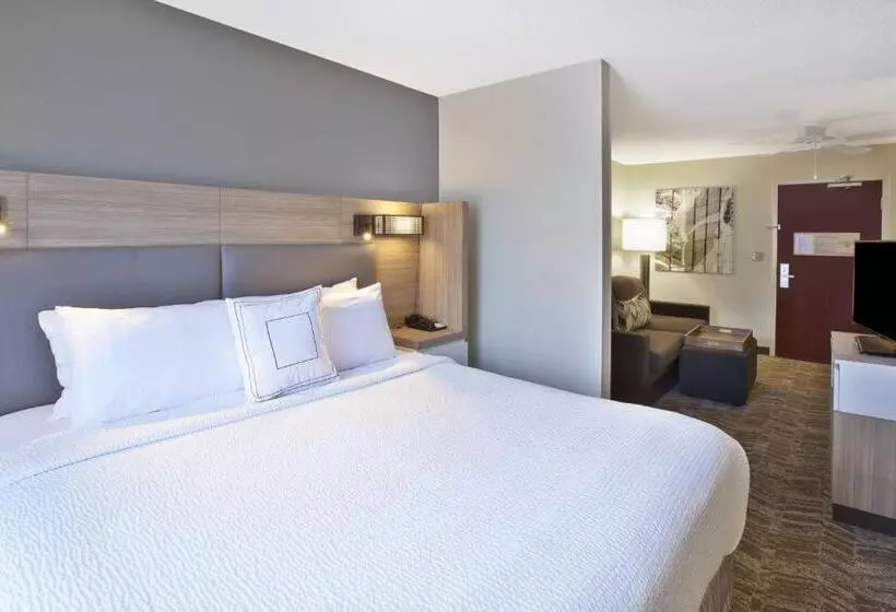 キングサイズベッドのスイートルーム, Springhill Suites Minneapolisst. Paul Airport/eagan