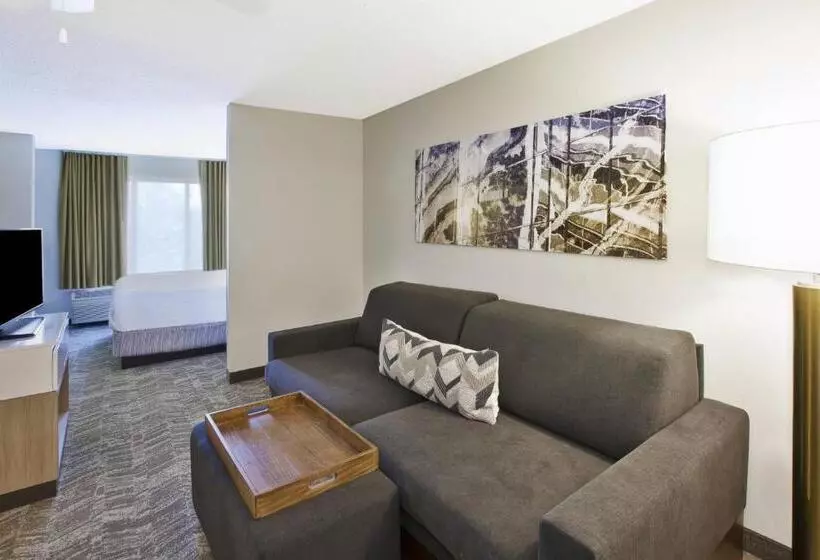 キングサイズベッドのスイートルーム, Springhill Suites Minneapolisst. Paul Airport/eagan