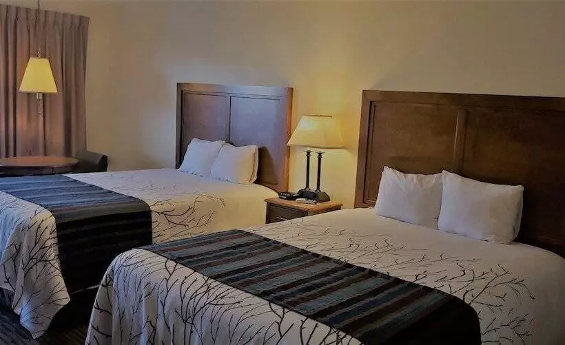 デラックスルーム, Stagecoach Inn & Suites