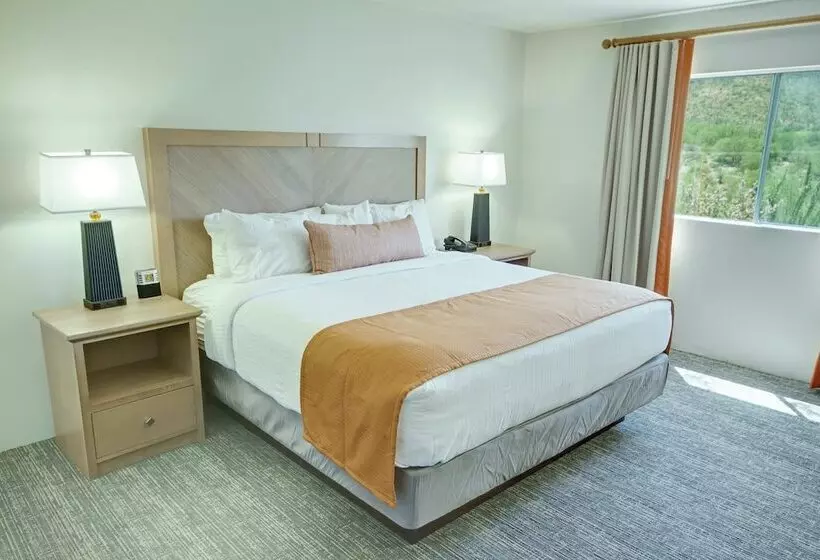 استودیوی استاندارد, Starr Pass Golf Suites