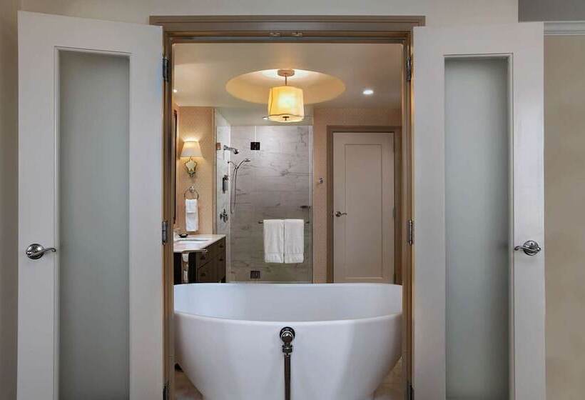 جناح, The Stephen F Austin Royal Sonesta