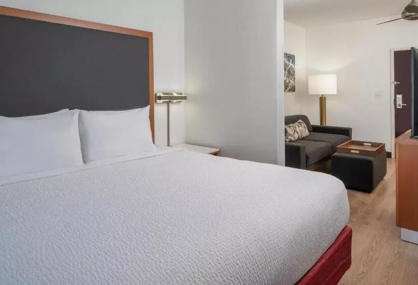 キングサイドベッドのスタンダードワンルーム, Springhill Suites By Marriott Charleston Riverview