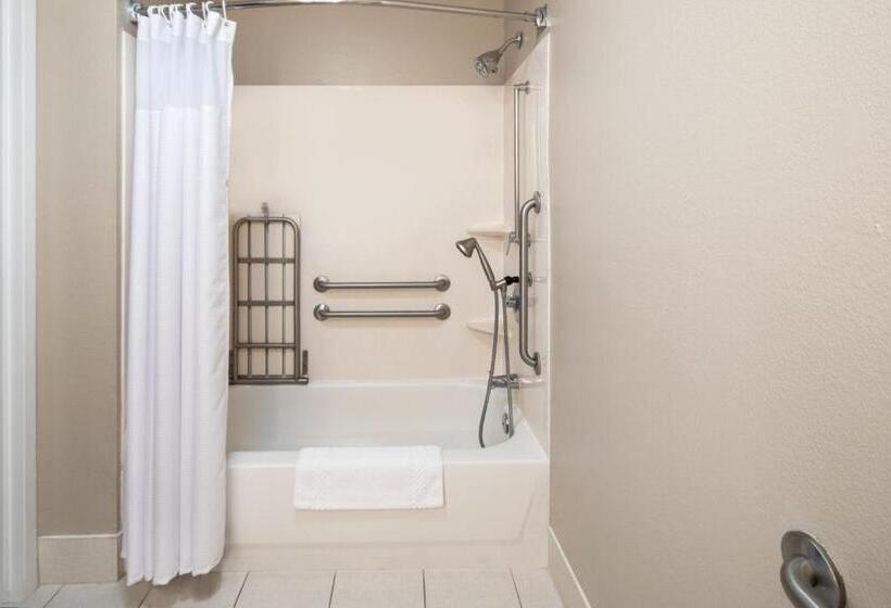 Standard Stúdió Szoba Queen Size Bed, Springhill Suites By Marriott Charleston Riverview