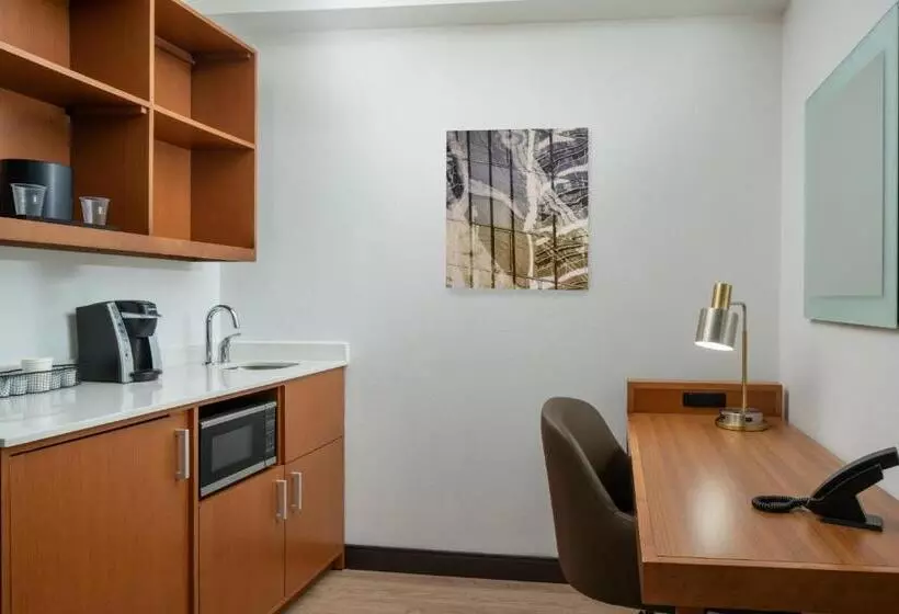 クイーンベッドのスタンダードスタジオ, Springhill Suites By Marriott Charleston Riverview
