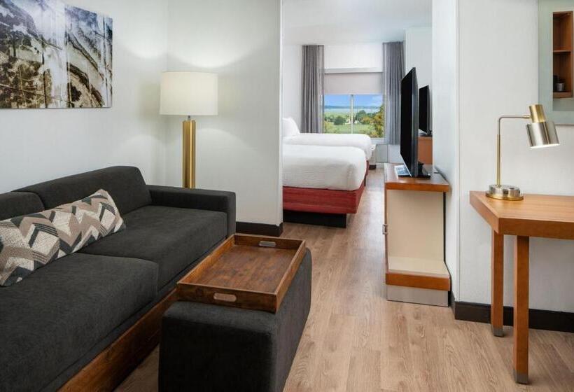 带四张床的标准工作室, Springhill Suites By Marriott Charleston Riverview