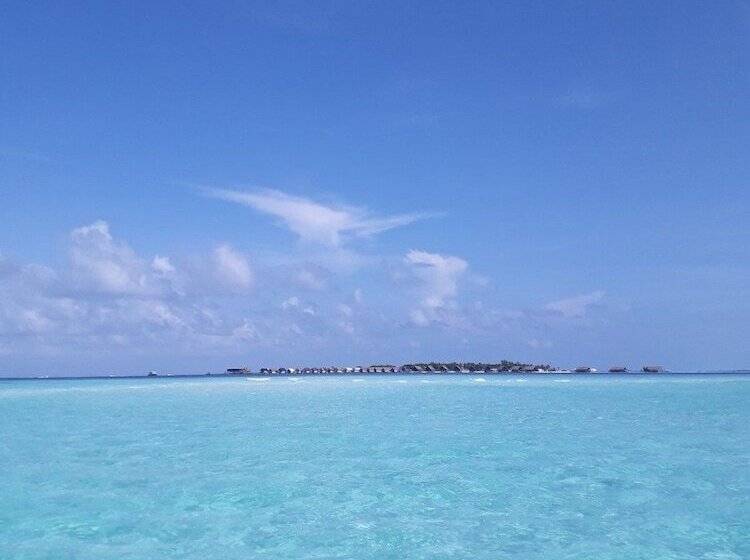 اتاق لوکس, Athens View