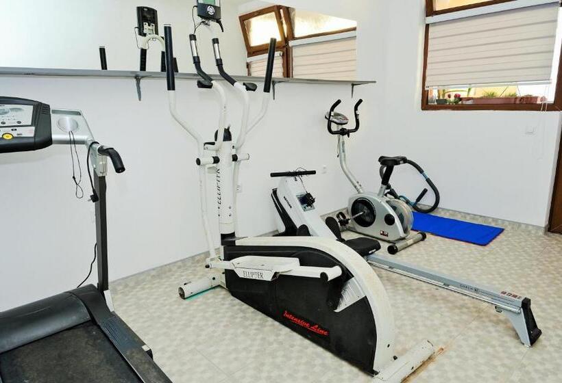 اتاق سوپریور, Lola S House