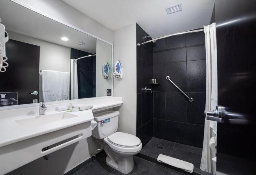 高级大房间, City Express Plus By Marriott Mexicali
