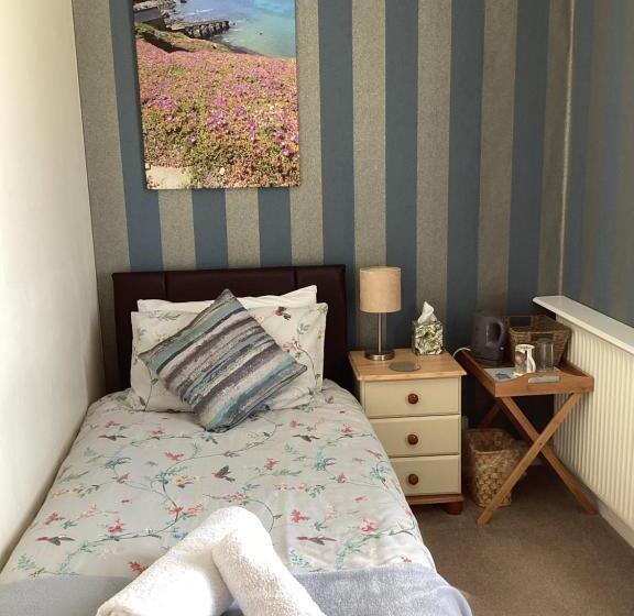 标准单人间共用浴室, Haelarcher Farmhouse And Helicopter B&b