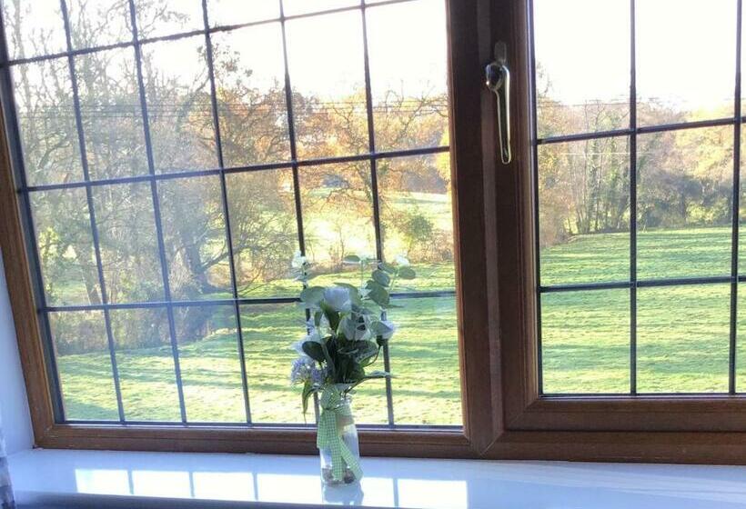 带大床的豪华间, The Dog & Crook