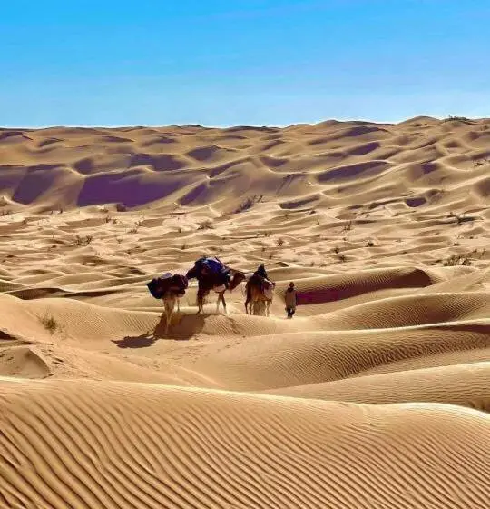 庭の見えるスタンダードトリプルルーム, Grand Sud, La Maison De Sable