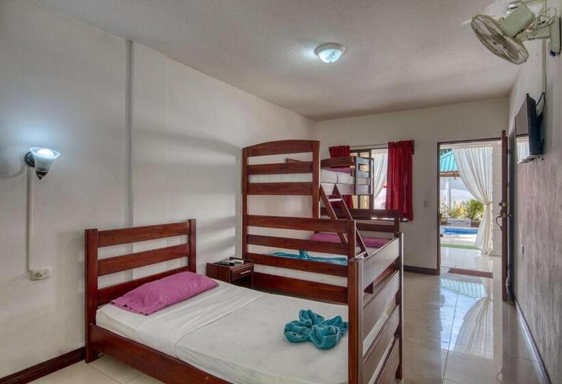 4인용 스탠다드 룸, Ocean View Lodge