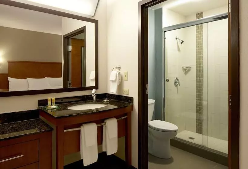 ２ダブルベッドのスタンダードルーム, Hyatt Place Dallas North By The Galleria